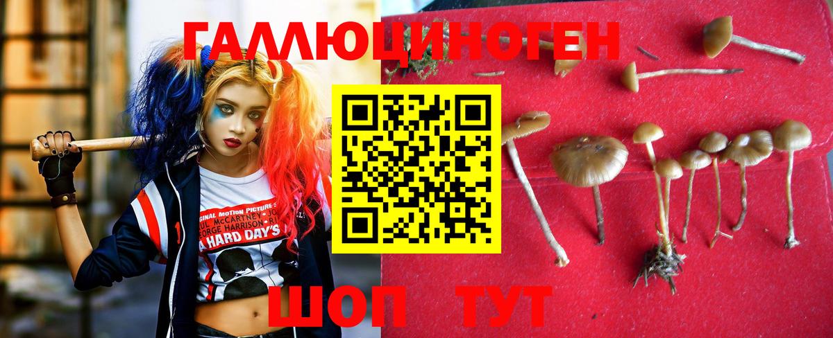 Псилоцибиновые грибы MAGIC MUSHROOMS Октябрьский