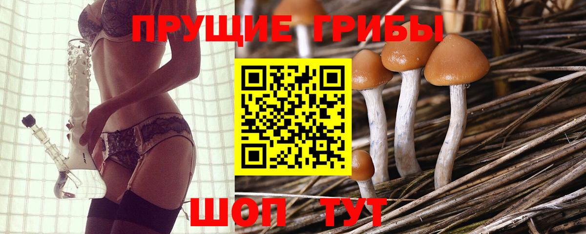 Октябрьский  Псилоцибиновые грибы прущие грибы  Вход с VPN 